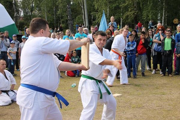 В городах и районах Коми прошла акция Народного фронта «ГТО со звездой»