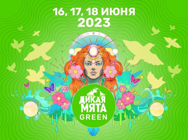 Независимый музыкальный фестиваль «Дикая Мята»