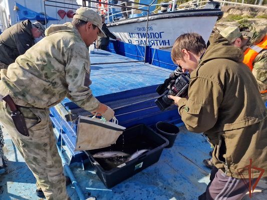 Росгвардия и Рыбоохрана совместно проводят оперативно-профилактическое мероприятие «Осенний нерест»