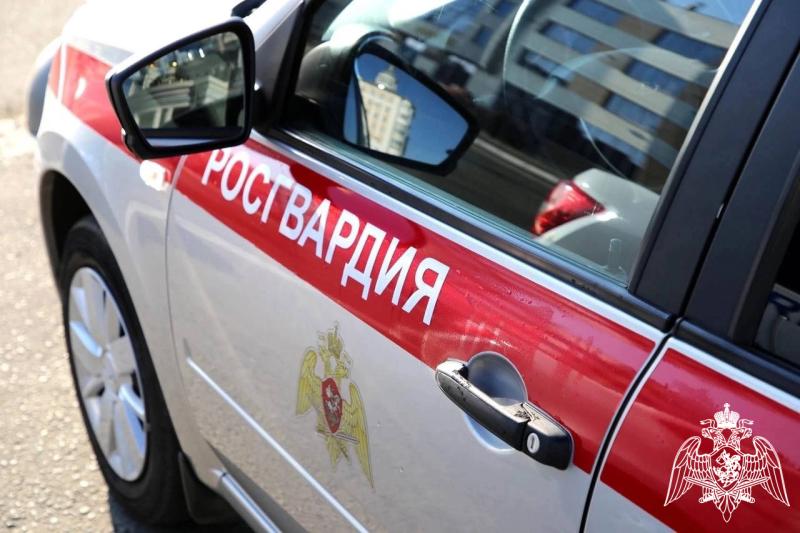 В Саранске росгвардейцы задержали нарушительницу из Лямбирского района