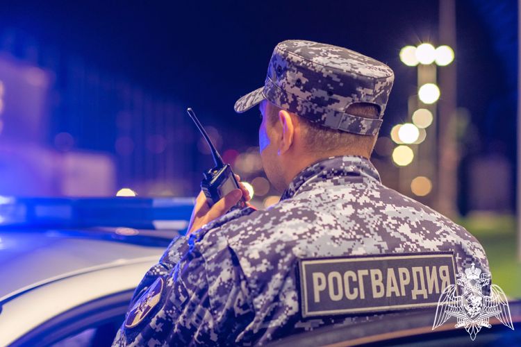 Орловские росгвардейцы доставили хулигана в отдел полиции