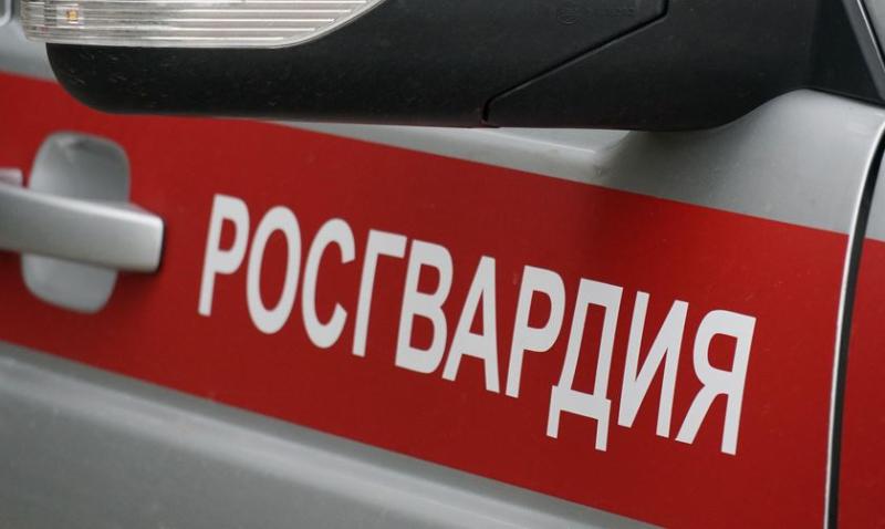 В Кирово-Чепецке росгвардейцы задержали гражданина, подозреваемого в кражах из магазина