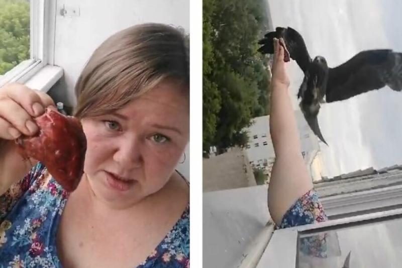 «Кеша летит на ужин»: новосибирский фуд-блогер стала Матерью драконов после того, как приручила коршуна