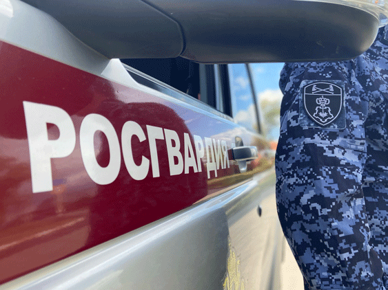 В Ульяновской области сотрудники Росгвардии задержали подозреваемого в угрозе убийством