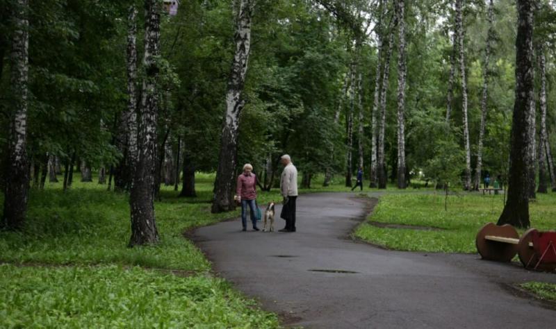 Новосибирцев приглашают обсудить развитие парка «Березовая роща»