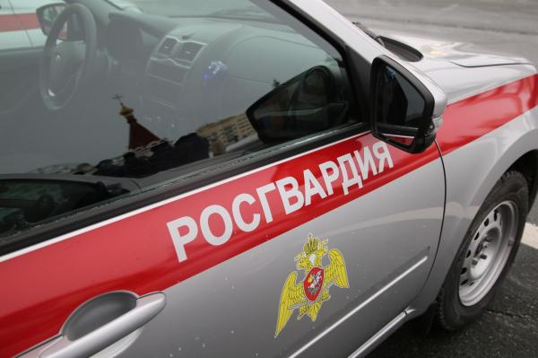 В Мордовии росгвардейцы задержали мужчину за хищение из гипермаркета