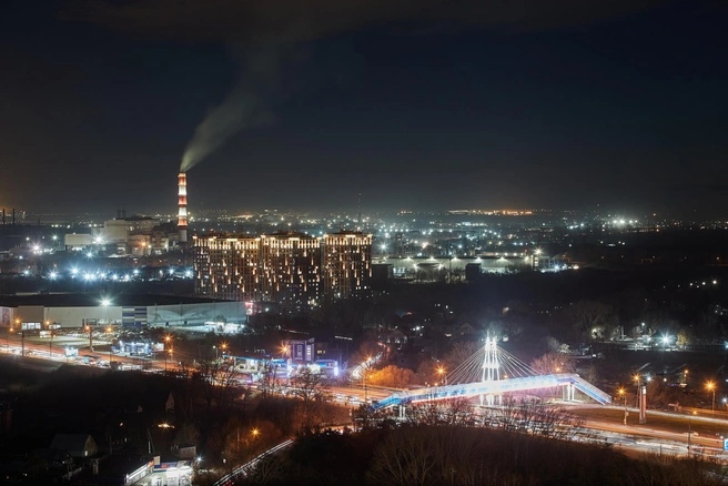 Новый подрядчик Димитровского моста и неизвестное насекомое в НГТУ: главные события 22 октября в Новосибирске