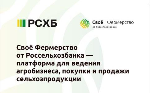 Россельхозбанк анонсировал новый раздел экосистемы Своё Фермерство на празднике аграриев в Орловской области