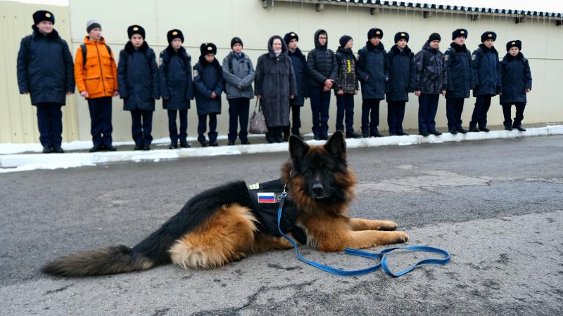 Росгвардейцы провели урок мужества для подшефного кадетского класса в Тамбове