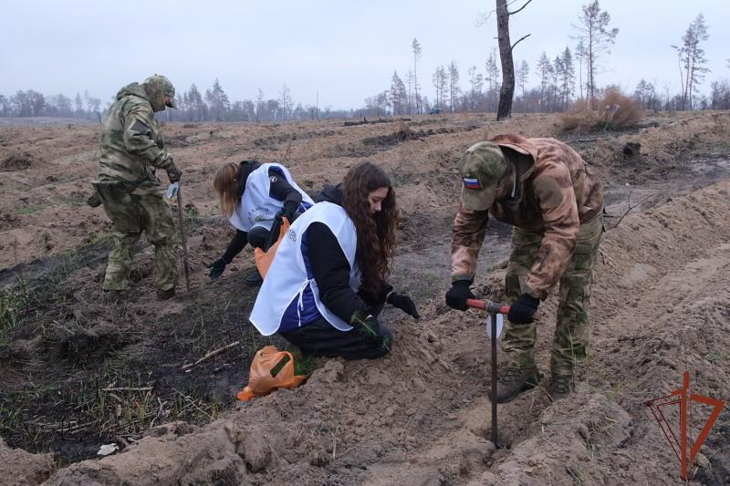 Военнослужащие Росгвардии — участники СВО поддержали международную акцию «Сад памяти» в ЛНР