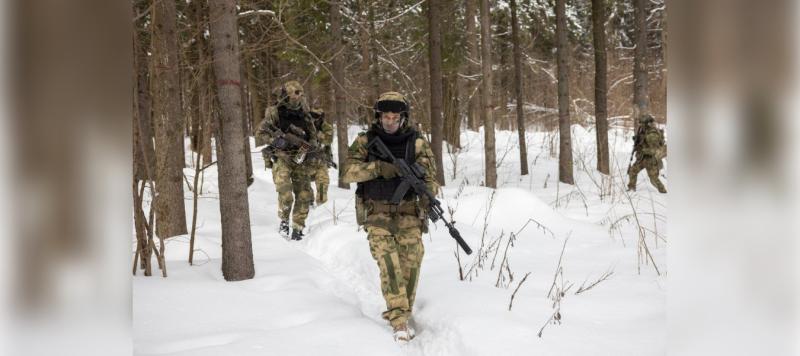 Оружие и боеприпасы иностранного производства обнаружили военнослужащие Росгвардии и сотрудники ФСБ в ЛНР