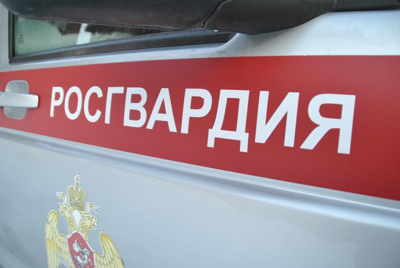 В Кирове росгвардейцы выявили подозреваемого в хулиганстве