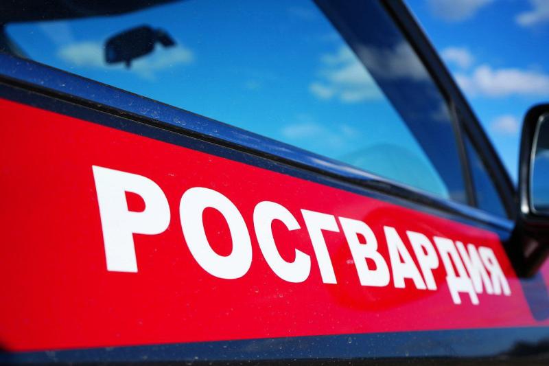 Подмосковные росгвардейцы задержали семейную пару, подозреваемую в краже товаров из гипермаркета