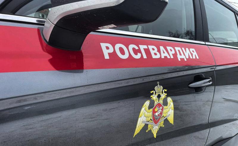 Сотрудники Росгвардии задержали подозреваемых в краже брендовой одежды и обуви в Подмосковье