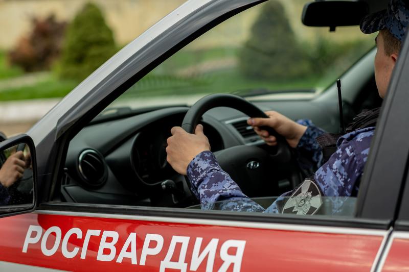 В Мордовии при участии сотрудников Росгвардии задержан пьяный водитель