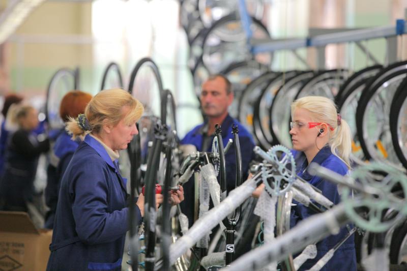 Веломоторс стал самым крупным российским велопроизводителем по итогам 2024 года
