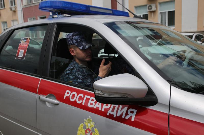 В Ардатовском районе республики при участии росгвардейцев задержаны два нетрезвых водителя